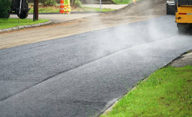 Best Local Driveway Pavers  in Gilmer, TX